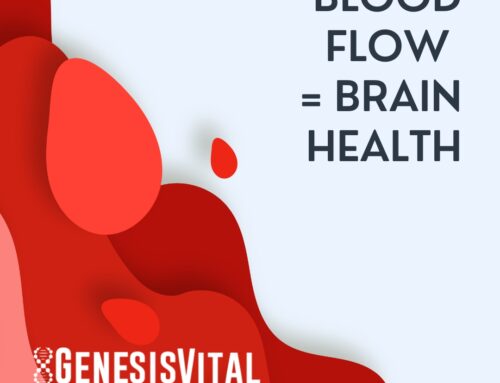how to increase blood flow in your brain