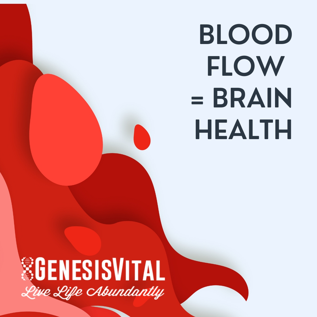 Blood Flow Brain